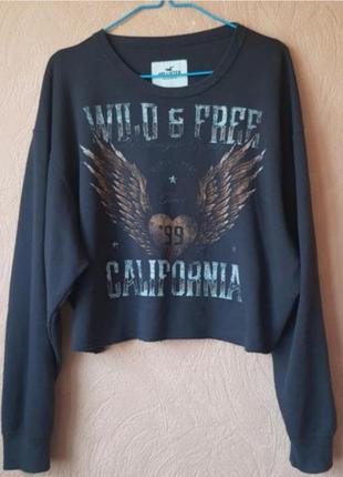 Свитшот hollister xl