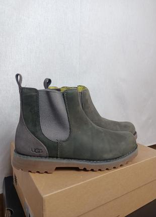 Челсі від бренду ugg