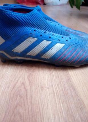 Бутси adidas predator 19+fg1 фото