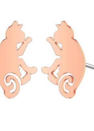 Сережки, милі кішки