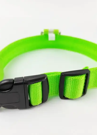 Світний нашийник для собак dogclub m (40-45 см) зелений