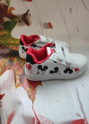 Кросівки ovs