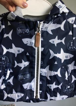 Куртка с акулами2 фото