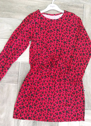 Сукня розмір 146 cool club