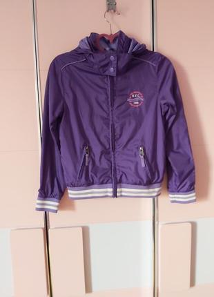 Вітровка нм