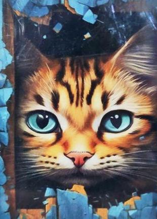 Набір для творчості алмазна картина кошеня з блакитними оченятами strateg розміром 40х50 см кр (gc86125)