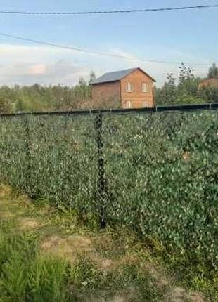 Камуфляжна сітка 2 м х 10 м зелений камуфляж з основою