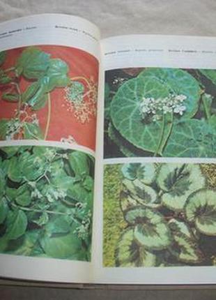 Кімнатні рослини - книга для квіткарів любителів3 фото