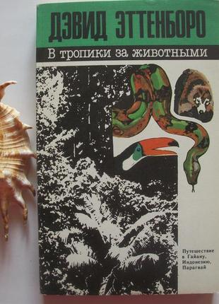 Девід еттенборо. в тропіки за тваринами