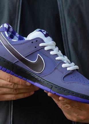 Жіночі кросівки nike sb dunk low люкс якість