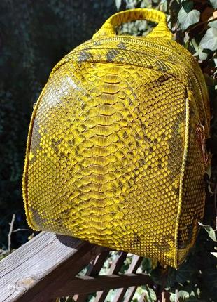 Рюкзак из натуральной кожи королевского 🐍🐍🐍🐍🐍 в наличии