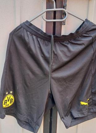 Мужские шорты puma,bvb,ф/к borussia,dortmund.