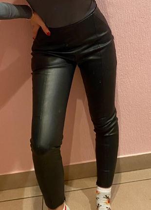 Легінси zara