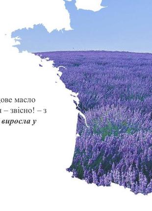 Ламбре эфирное масло лаванды / лавандовое масло lambre essential oil lavender4 фото