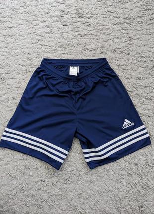 Шорты afidas, size s, полупояс 32-42 длина, длина 41