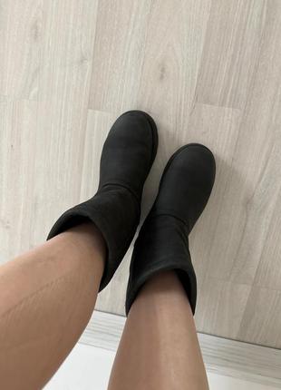 Черевики ugg2 фото