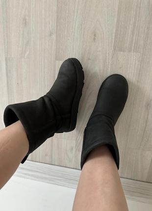 Черевики ugg10 фото