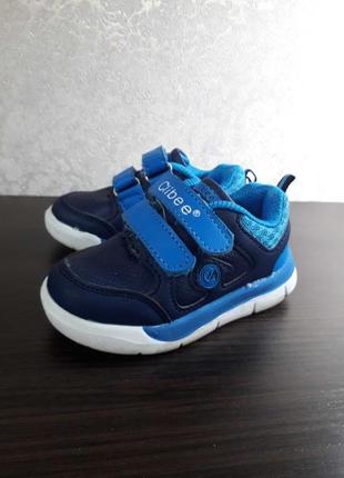 Кросівки clibbe