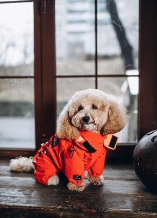 Дощовик куртка для собак собаки песиків6 фото