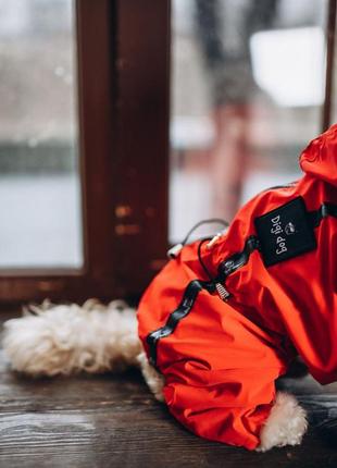 Дощовик куртка для собак собаки песиків7 фото