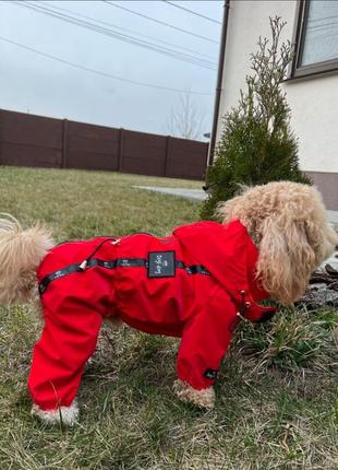 Дощовик куртка для собак собаки песиків1 фото