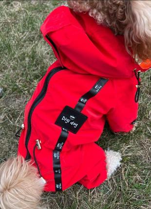 Дощовик куртка для собак собаки песиків5 фото