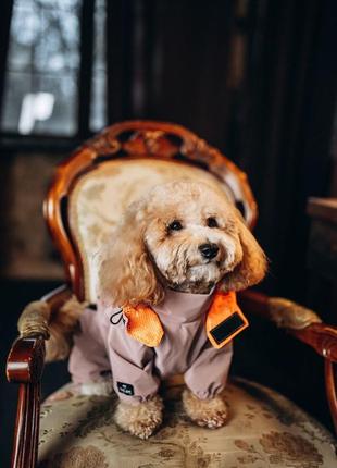 Дождевик куртка для собак6 фото