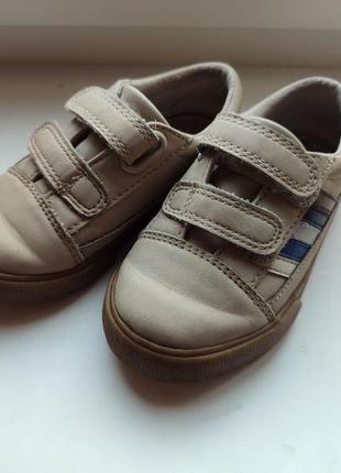 Сірі кеди next