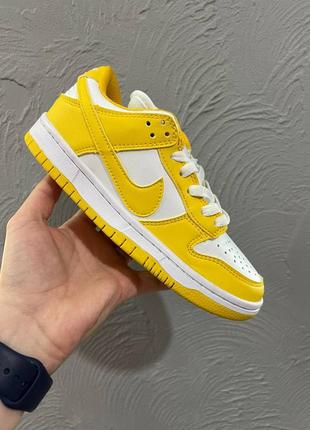 Жіночі кросівки nike sb dunk low люкс якість