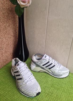 Кроссовки для бега  adidas  adistar  control 5  ( 915384 )