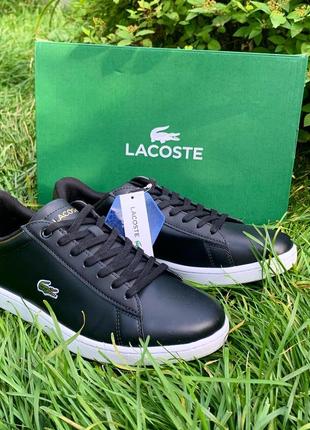 Кеди lacoste оригінал