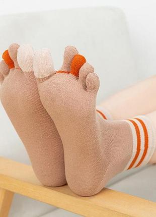 Шкарпетки жіночі бавовняні п'ять роздільних пальців, кольорові шкарпетки до середини литки