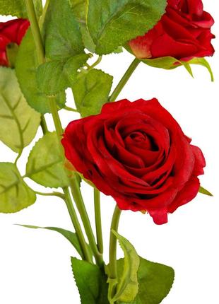 Троянда "мірабель", червона, 56 см3 фото
