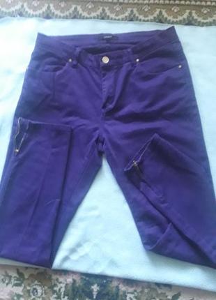 Штани--лосини