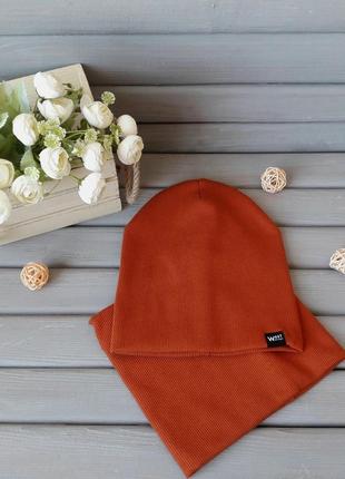 Шапка и хомут для мальчика демисезонный