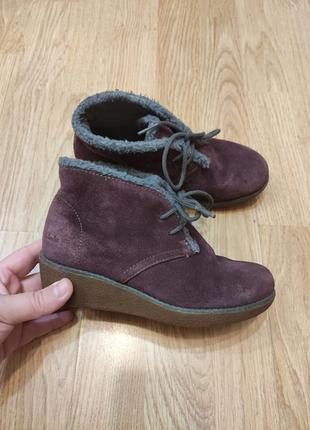 Замшеві черевики від clarks originals