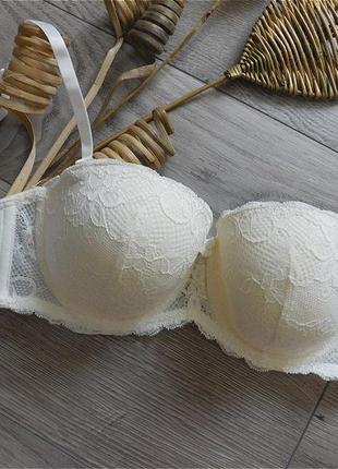 Бюстгальтер