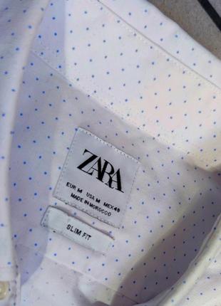 Чоловіча бавовняна приталена біла сорочка zara розмір 40 (м)3 фото