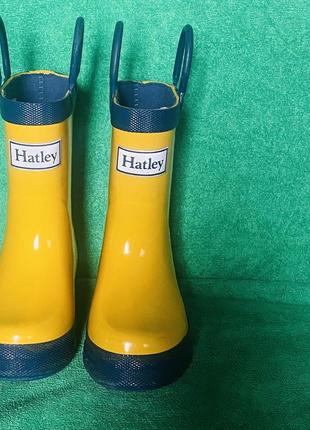 Резиновые  сапоги  hatley yellow & navy  , 14 см3 фото