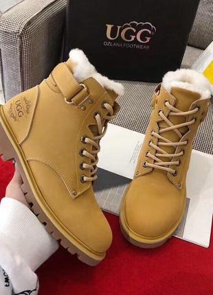 Ботинки ugg