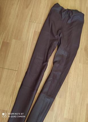 Лосіни штани