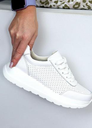 Базові шкіряні білі кросівки натуральна шкіра з перфорацією must have