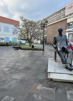 Платье наречено 8