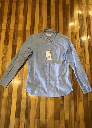 Pull and bear нова класична чоловіча сорочка oxford shirt, 5472/507/403