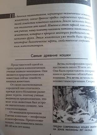 Книга: кошки от а до я. фирсова е.в