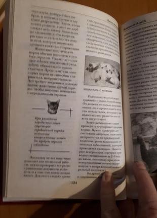 Книга: кошки от а до я. фирсова е.в