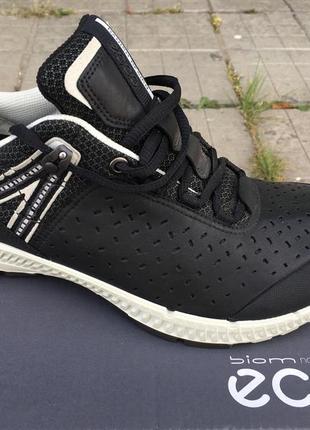 Мужские кроссовки  ecco gore-tex tr 861014 51707