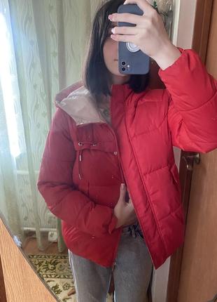 Хорошая укорочения курточка