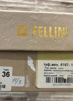 Fellini туфли8 фото