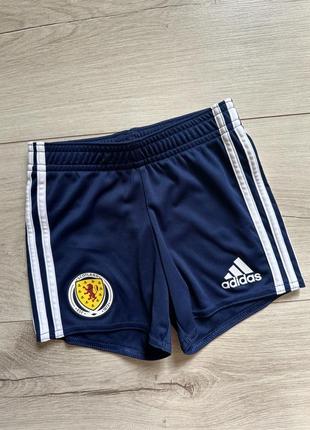 Футбольні шорти adidas на малюка scotland оригінал 12-18 міс/86 см